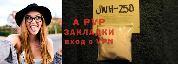 прущие грибы Семикаракорск