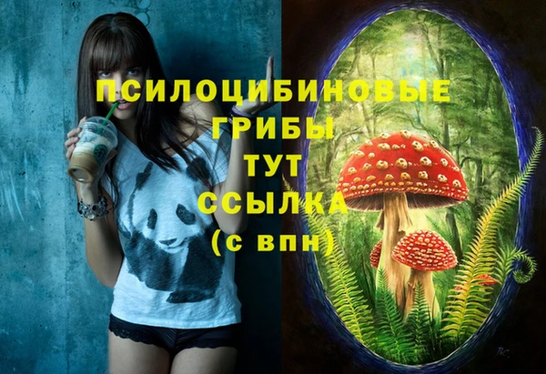 прущие крисы Верхний Тагил