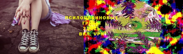 прущие крисы Верхний Тагил