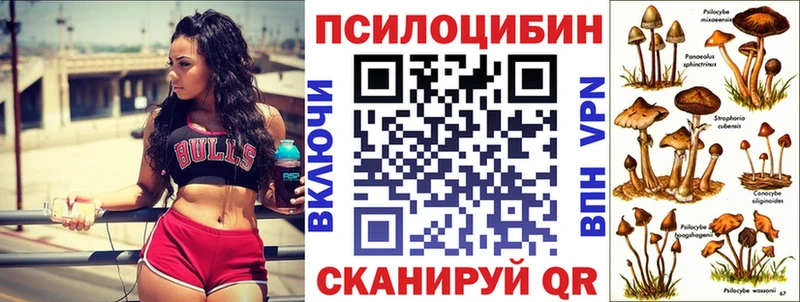 hydra ссылки  цены   Новоржев  мориарти Telegram  Псилоцибиновые грибы GOLDEN TEACHER 